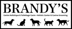 Brandy's Holistic Center & Canine Grooming