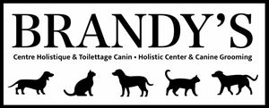 Brandy&#39;s Holistic Center &amp; Canine Grooming