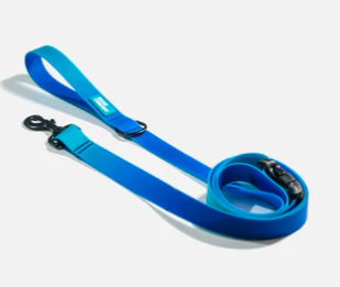 Blue Hawaiin Leash