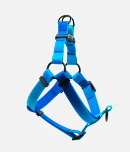 Blue Hawaiin Harness