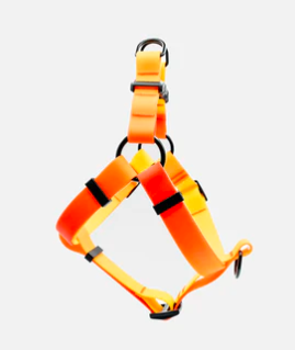 Sunset Harness