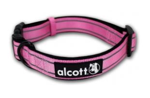 Collar - Alcott - Brandy's Holistic Center & Canine Grooming