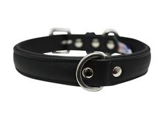 Leather Collar - Black - Brandy's Holistic Center & Canine Grooming