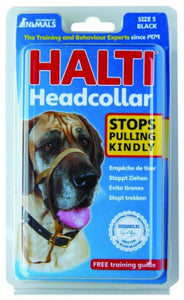 Halti - Leather Padded Headcollar - Brandy's Holistic Center & Canine Grooming