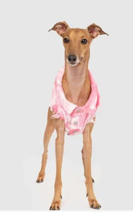 Pink Denim Jacket - Brandy's Holistic Center & Canine Grooming