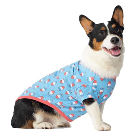 Popsicle Sweater - Brandy's Holistic Center & Canine Grooming